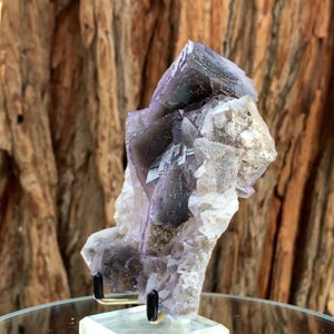 
            
                Load image into Gallery viewer, 12cm 580g Purple Fluorite from Balochistan, Pakistan
            
        