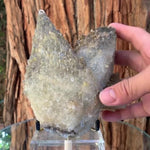 14cm 1.42kg Dogtooth Calcite from Balochistan, Pakistan