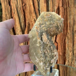 15cm 505g Dogtooth Calcite from Balochistan, Pakistan