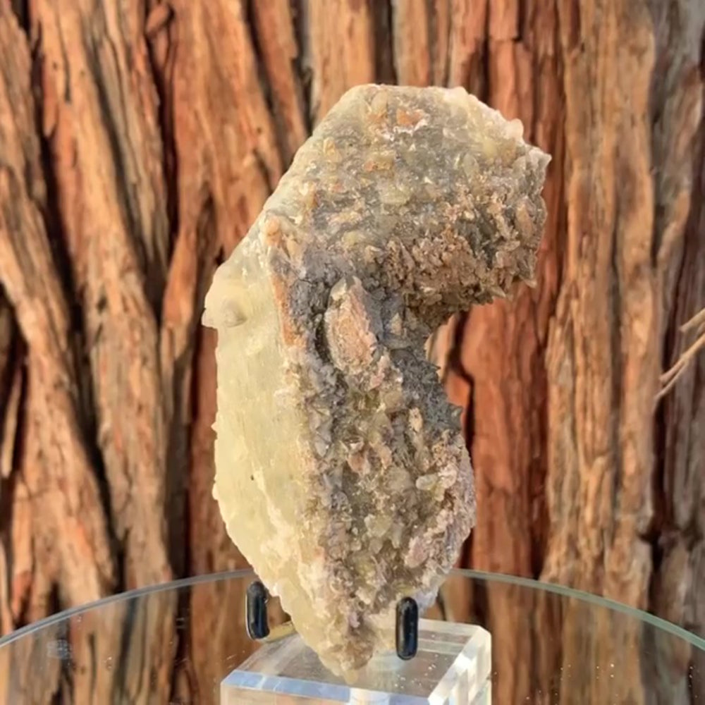 
            
                Load image into Gallery viewer, 15cm 505g Dogtooth Calcite from Balochistan, Pakistan
            
        