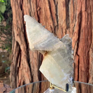 15cm 505g Dogtooth Calcite from Balochistan, Pakistan