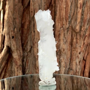 13.5cm 130g Clear Faden Quartz from Balochistan, Pakistan