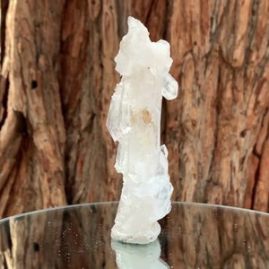 11cm 115g Clear Faden Quartz from Balochistan, Pakistan