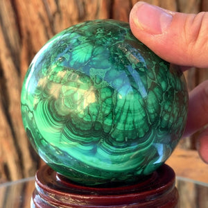 7cm 1.01kg Polished Malachite Sphere from Congo