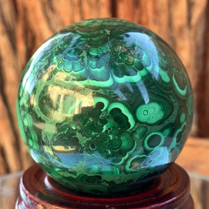 6cm 620g Polished Malachite Sphere from Congo