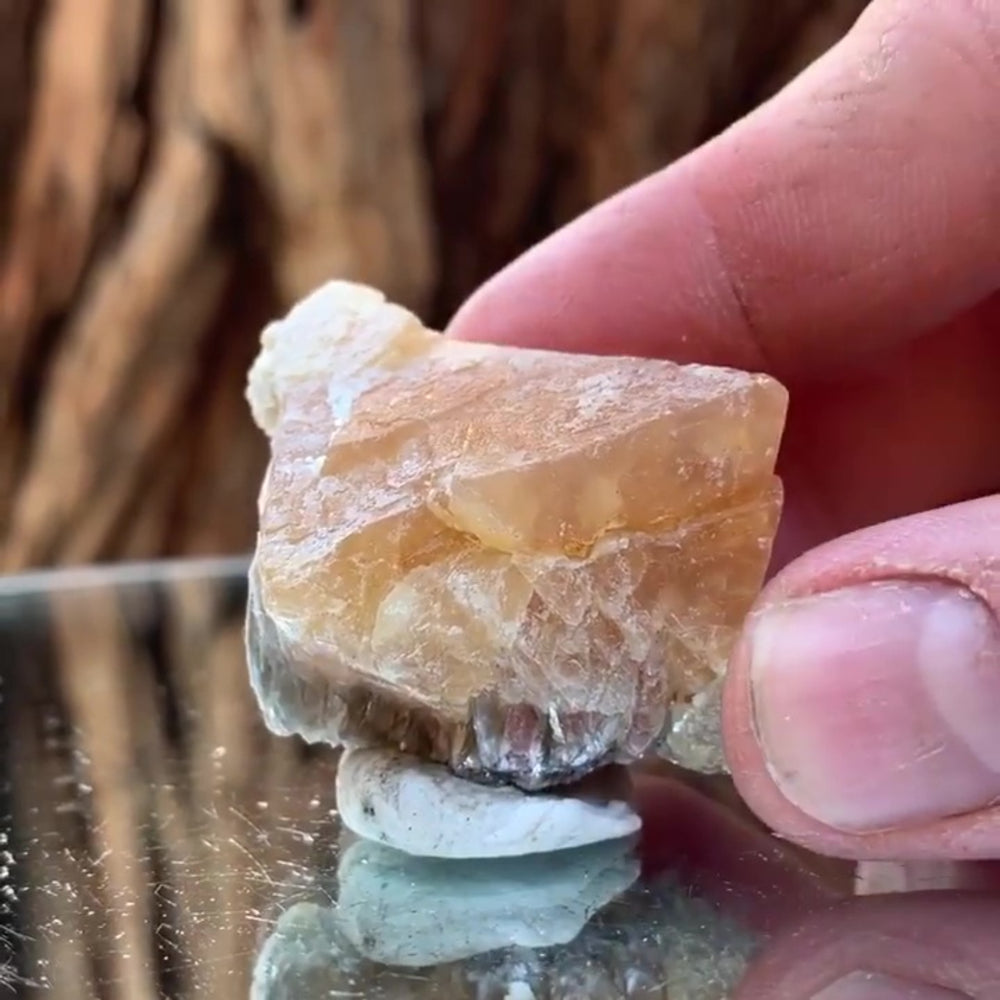3.5cm 72g Scheelite from Mt. Xuebaoding, Sichuan, China