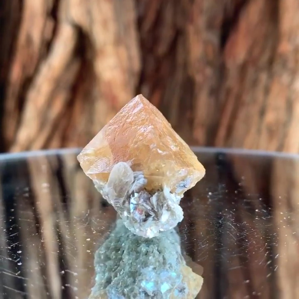 3.1cm 42g Scheelite from Mt. Xuebaoding, Sichuan, China