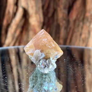 3.1cm 42g Scheelite from Mt. Xuebaoding, Sichuan, China