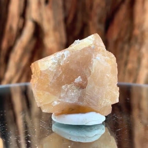 3.7cm 78g Scheelite from Mt. Xuebaoding, Sichuan, China