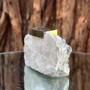 7cm 130g Spanish Pyrite from Navajun, La Rioja, Spain