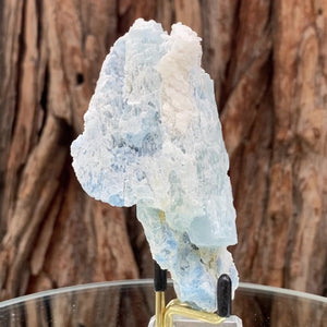 
            
                Load image into Gallery viewer, 10cm 260g Aquamarine from Skardu, Pakistan
            
        