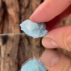 2.5cm 8g Aquamarine from Skardu, Pakistan