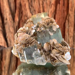 9.5cm 455g Aquamarine from Nagar Mine, Gilgit-Baltistan, Pakistan