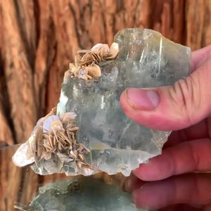 9.5cm 455g Aquamarine from Nagar Mine, Gilgit-Baltistan, Pakistan