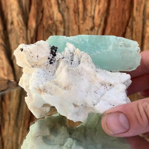 10.5cm 540g Aquamarine from Nid Mine, Shigar District, Gilgit-Baltistan, Pakistan