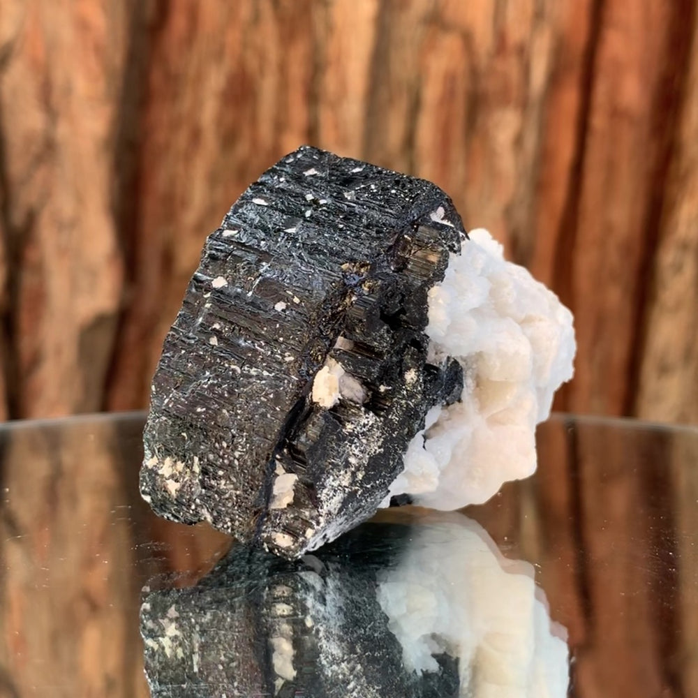 4.8cm 104g Black Tourmaline Crystal, Nid Mine, Shigar Valley, PK