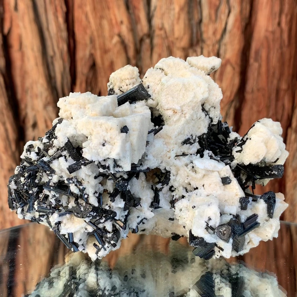 
            
                Load image into Gallery viewer, 13cm 625g Black Tourmaline Crystals on Albite Feldspar Chubala Mine PK
            
        