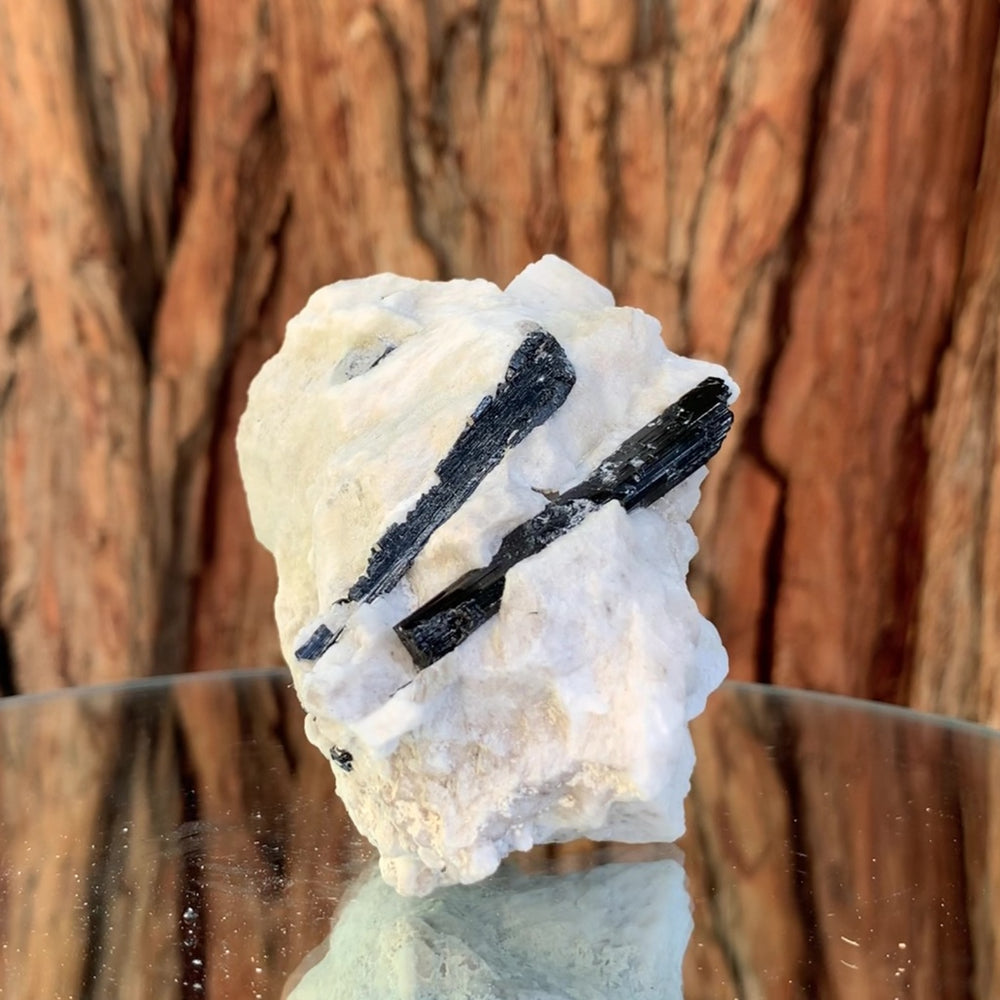 8cm 240g Black Tourmaline Crystals on Albite Feldspar Chubala Mine PK