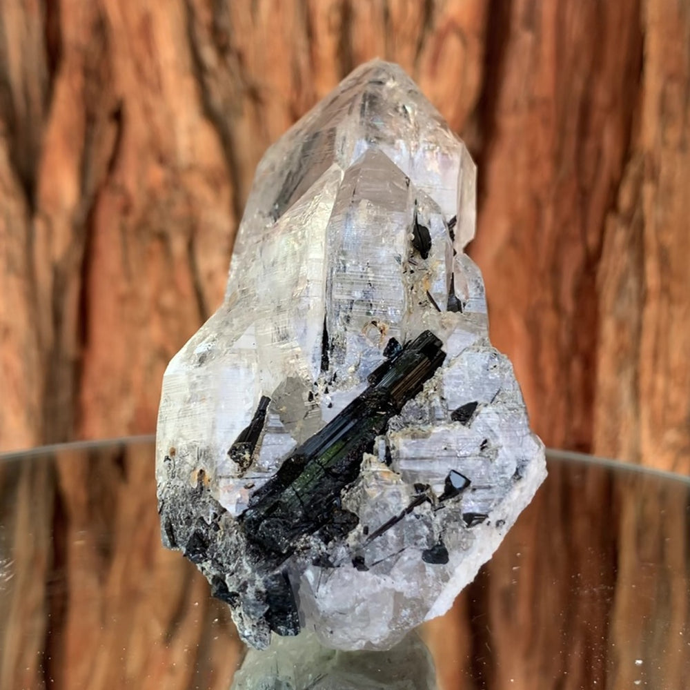 9.5cm 255g Black Tourmaline w/ Himalayan Clear Quartz from Gon Mine, Nid, Shigar District, Gilgit-Baltistan, Pakistan