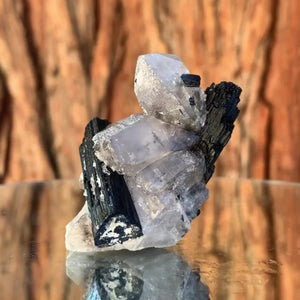 5.5cm 55g Black Tourmaline & Himalayan Quartz from Skardu, Pakistan