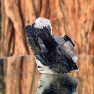 5.5cm 55g Black Tourmaline & Himalayan Quartz from Skardu, Pakistan