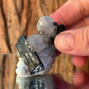 5.5cm 55g Black Tourmaline & Himalayan Quartz from Skardu, Pakistan