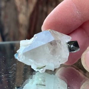 3.5cm 17g Black Tourmaline and Himalayan Quartz, Gon Mine, Gilgit-Baltistan, Pakistan