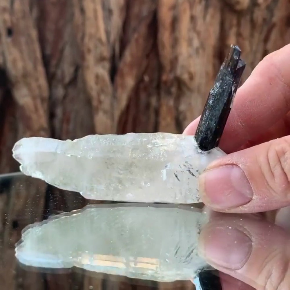 8.5cm 55g Black Tourmaline and Himalayan Quartz, Gon Mine, Gilgit-Baltistan, Pakistan