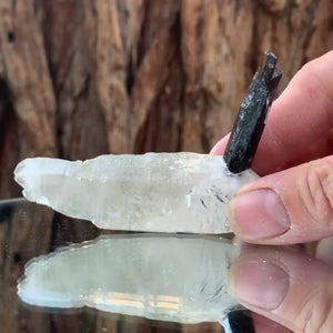 8.5cm 55g Black Tourmaline and Himalayan Quartz, Gon Mine, Gilgit-Baltistan, Pakistan