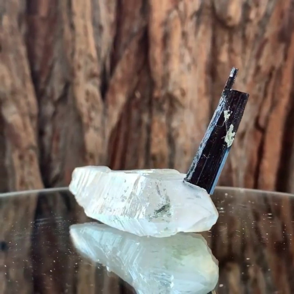 8.5cm 55g Black Tourmaline and Himalayan Quartz, Gon Mine, Gilgit-Baltistan, Pakistan