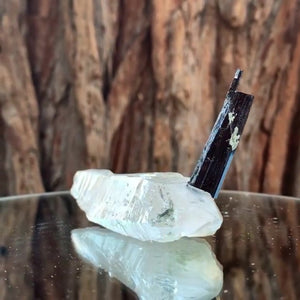8.5cm 55g Black Tourmaline and Himalayan Quartz, Gon Mine, Gilgit-Baltistan, Pakistan