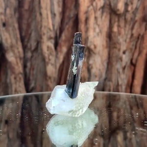 8.5cm 55g Black Tourmaline and Himalayan Quartz, Gon Mine, Gilgit-Baltistan, Pakistan
