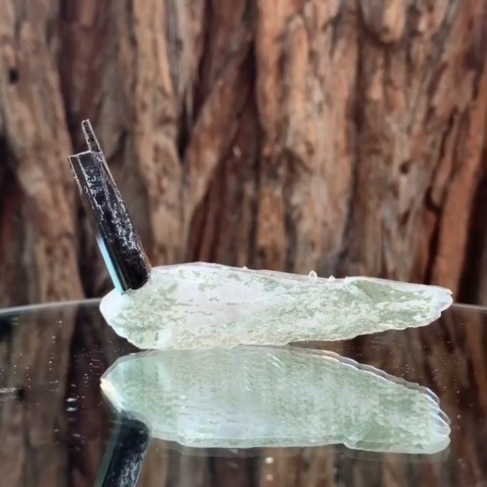 8.5cm 55g Black Tourmaline and Himalayan Quartz, Gon Mine, Gilgit-Baltistan, Pakistan