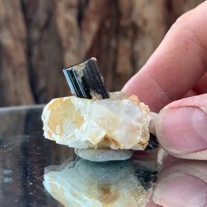 4.5cm 27g Black Tourmaline and Himalayan Quartz, Gon Mine, Gilgit-Baltistan, Pakistan