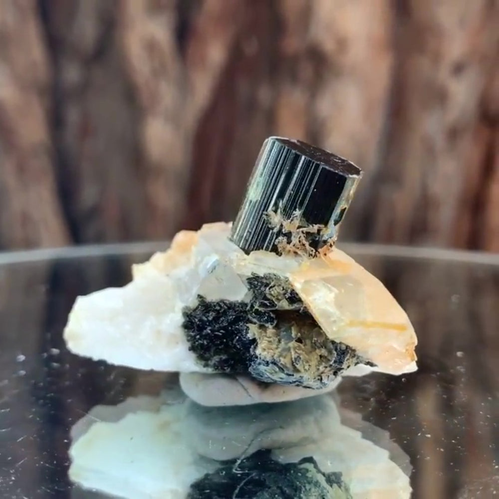 4.5cm 27g Black Tourmaline and Himalayan Quartz, Gon Mine, Gilgit-Baltistan, Pakistan