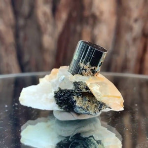 4.5cm 27g Black Tourmaline and Himalayan Quartz, Gon Mine, Gilgit-Baltistan, Pakistan