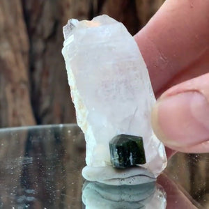 5.5cm 23g Black Tourmaline and Himalayan Quartz, Gon Mine, Gilgit-Baltistan, Pakistan
