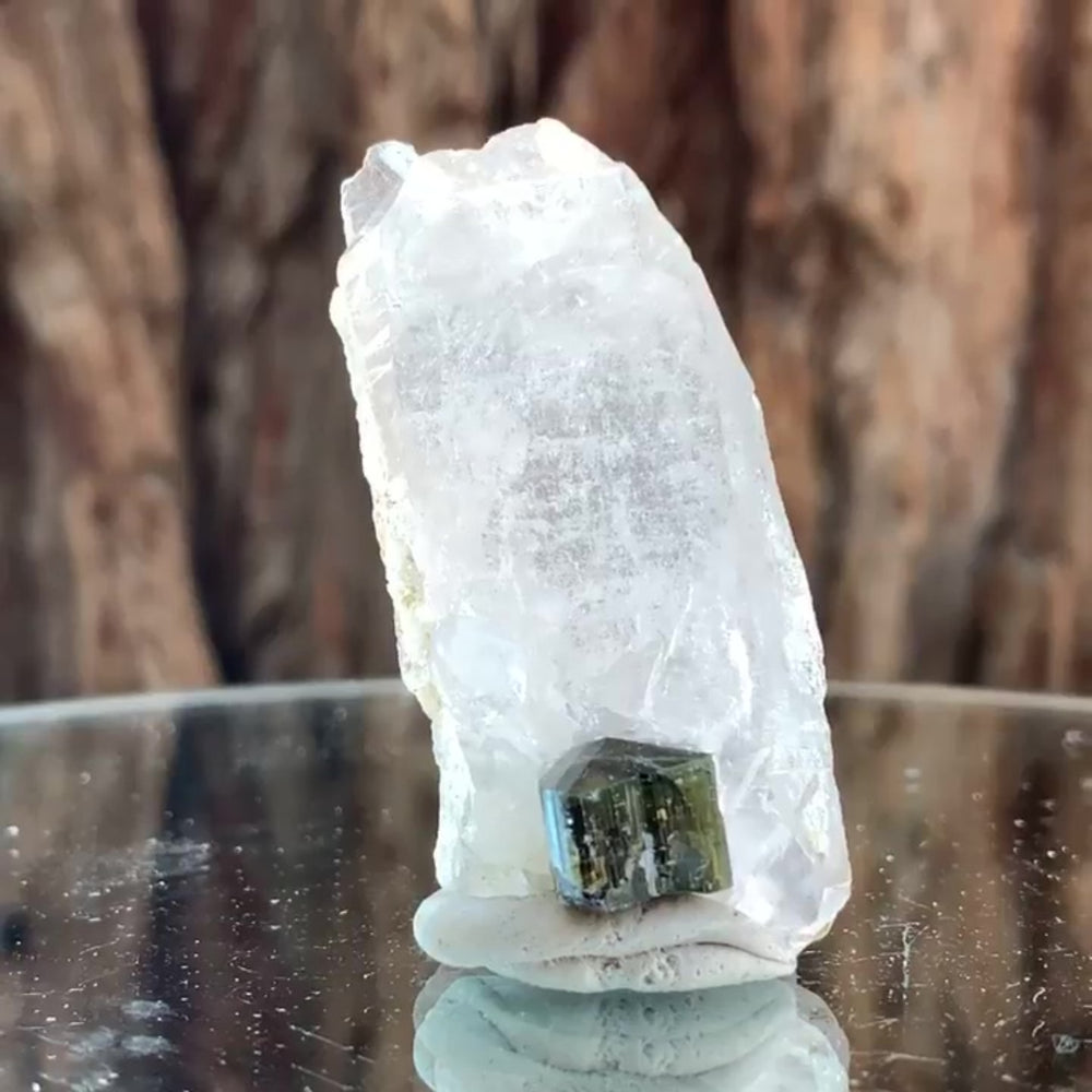 5.5cm 23g Black Tourmaline and Himalayan Quartz, Gon Mine, Gilgit-Baltistan, Pakistan