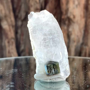 5.5cm 23g Black Tourmaline and Himalayan Quartz, Gon Mine, Gilgit-Baltistan, Pakistan