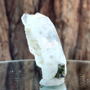 5.5cm 23g Black Tourmaline and Himalayan Quartz, Gon Mine, Gilgit-Baltistan, Pakistan