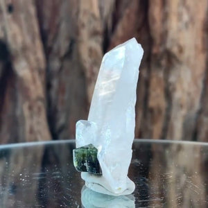 5.5cm 23g Black Tourmaline and Himalayan Quartz, Gon Mine, Gilgit-Baltistan, Pakistan