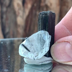 3.5cm 14g Black Tourmaline and Himalayan Quartz, Gon Mine, Gilgit-Baltistan, Pakistan