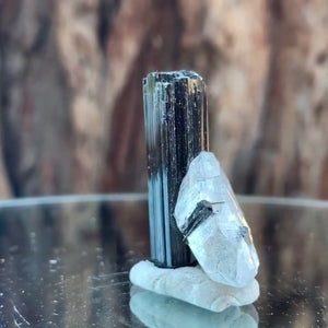 3.5cm 14g Black Tourmaline and Himalayan Quartz, Gon Mine, Gilgit-Baltistan, Pakistan