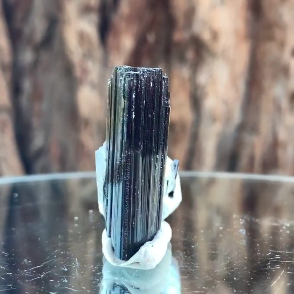 3.5cm 14g Black Tourmaline and Himalayan Quartz, Gon Mine, Gilgit-Baltistan, Pakistan
