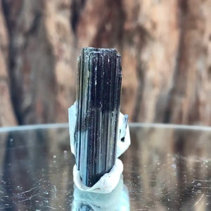 3.5cm 14g Black Tourmaline and Himalayan Quartz, Gon Mine, Gilgit-Baltistan, Pakistan