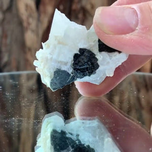5cm 53g Black Tourmaline and Himalayan Quartz, Gon Mine, Gilgit-Baltistan, Pakistan