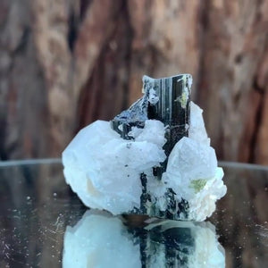 5cm 53g Black Tourmaline and Himalayan Quartz, Gon Mine, Gilgit-Baltistan, Pakistan