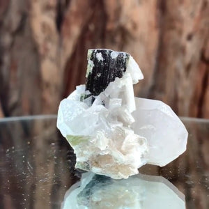 5cm 53g Black Tourmaline and Himalayan Quartz, Gon Mine, Gilgit-Baltistan, Pakistan