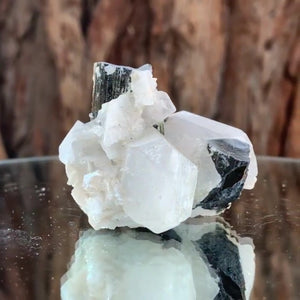 5cm 53g Black Tourmaline and Himalayan Quartz, Gon Mine, Gilgit-Baltistan, Pakistan