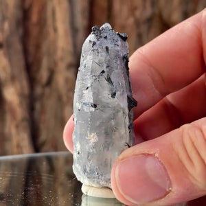 5.5cm 36g Black Tourmaline from Chubala Mine, Nid, Shigar district, Gilgit-Baltistan, Pakistan